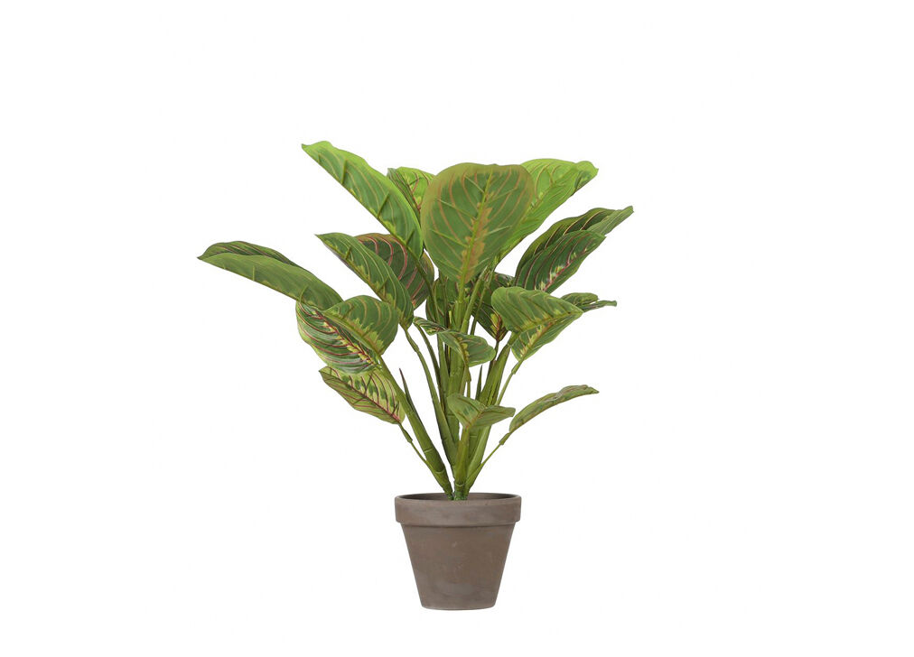 Planta artificial CALATHEA marca MICA DECORATIONS