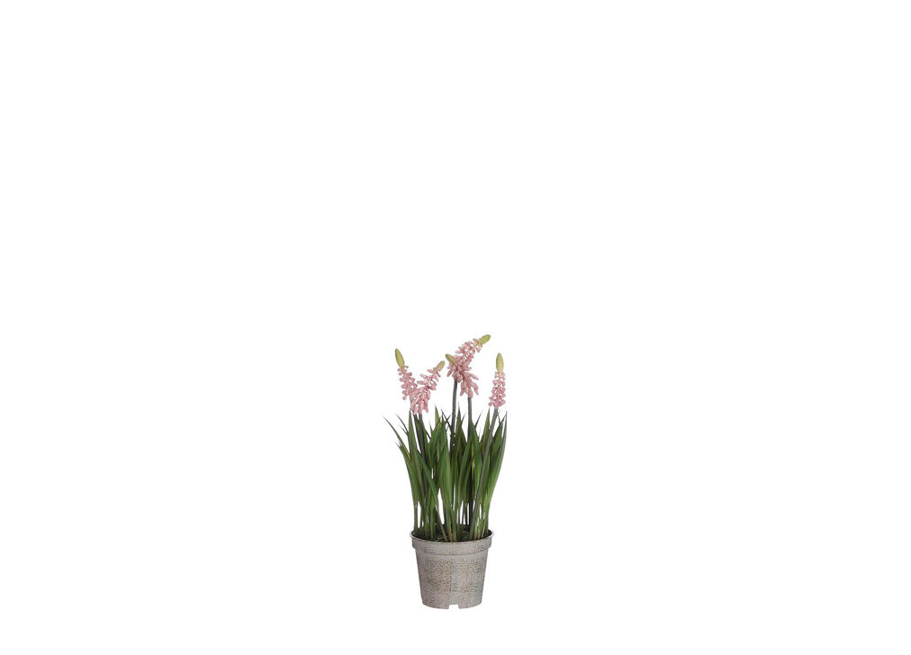 Jacinto con flor ROSA marca MICA DECORATIONS