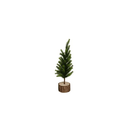 Planta de natal pinho verde CRAIS madeira
