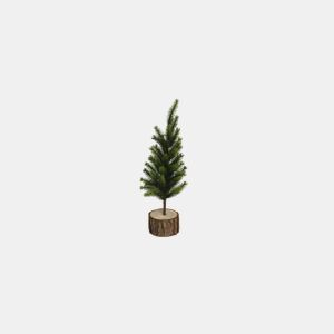 Planta de natal pinho verde CRAIS madeira