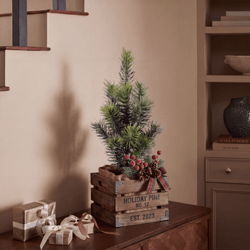 Planta de natal pinho verde ERIC