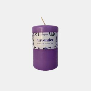 Vela taco LAVANDER 9,5cm marca ECOANYA