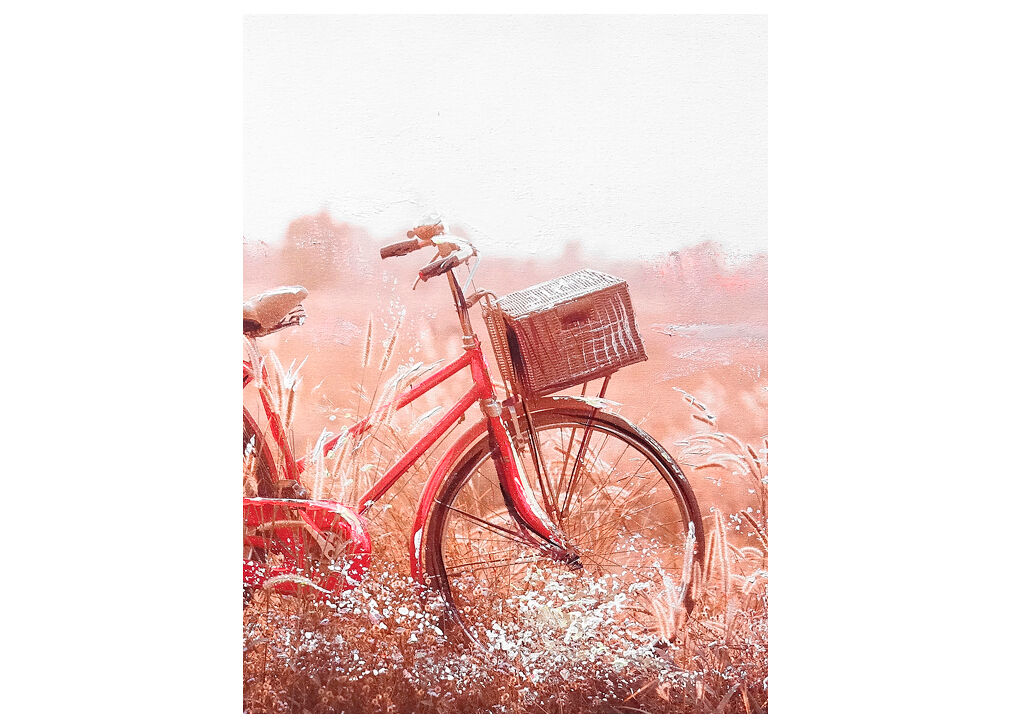 Pintura original BICYCLE marca MARCOMUEBLE