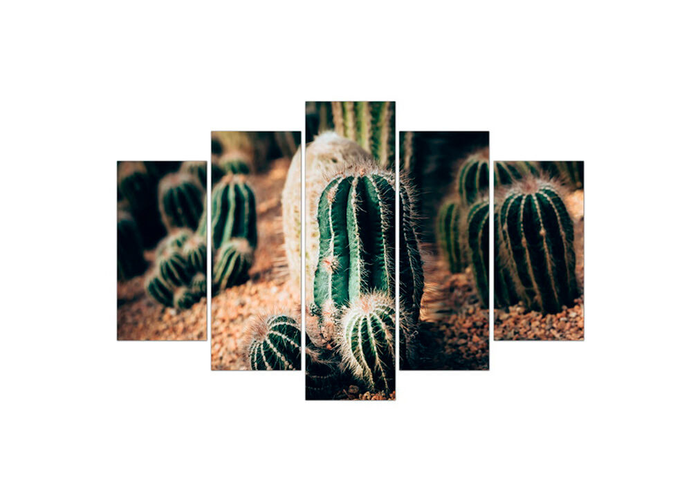 Canvas 5 piezas CACTUS de la marca CONFORAMA