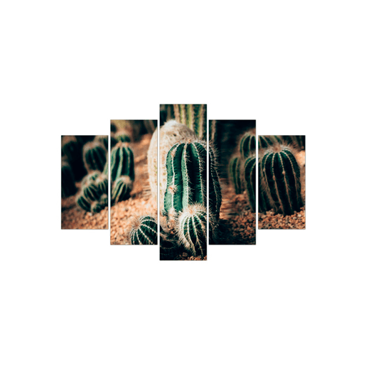 Canvas 5 piezas CACTUS marca CONFORAMA