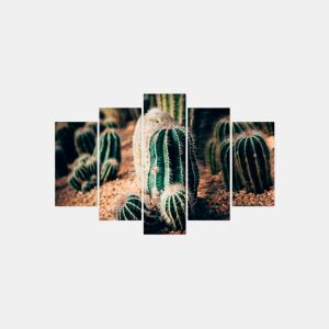 Canvas 5 piezas CACTUS marca CONFORAMA