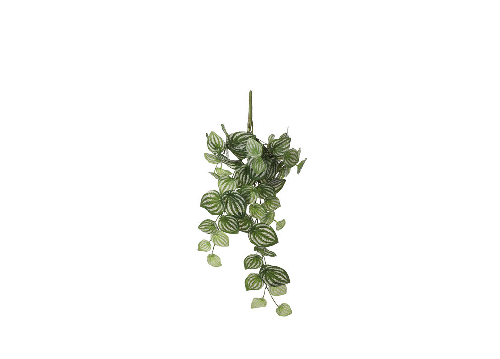 Planta artificial colgante PEPEROMIA marca MYCA