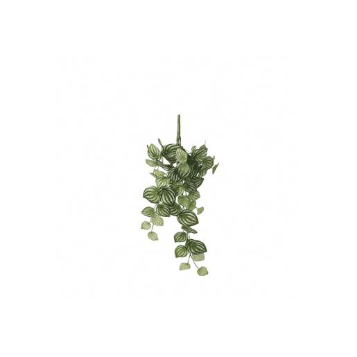 Planta artificial suspensa PEPEROMIA marca MYCA Planta artificial suspensa PEPEROMIA marca MYCA