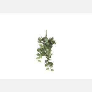 Planta artificial suspensa PEPEROMIA marca MYCA