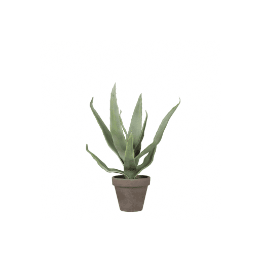 Planta artificial ALOEVERA marca MYCA