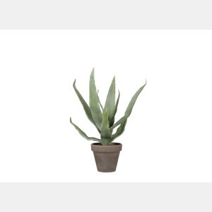 Planta artificial ALOEVERA marca MYCA