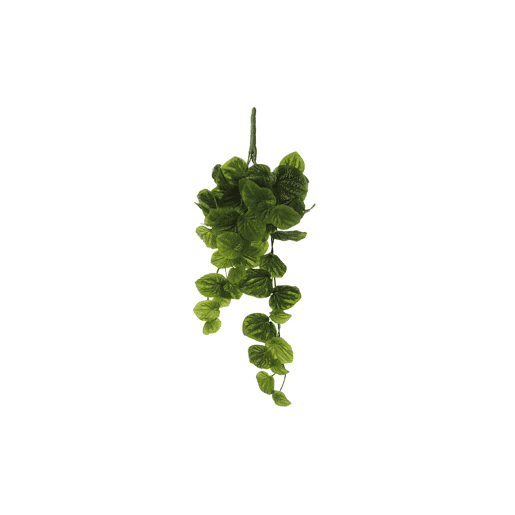 Planta artificial suspensa PEPEROMIA marca MYCA