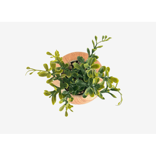 Planta artificial OLGA marca ECOANYA Planta artificial OLGA marca ECOANYA