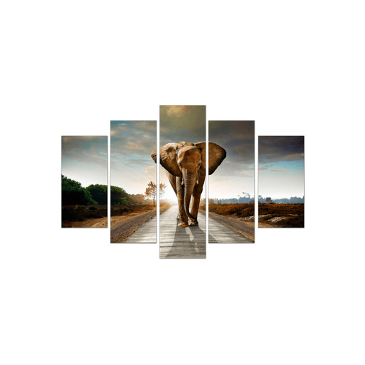 Tela 5 peças ELEPHANT KING marca CONFORAMA Tela 5 peças ELEPHANT KING marca CONFORAMA