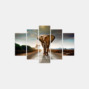 Tela 5 peças ELEPHANT KING marca CONFORAMA