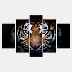 Tela 5 peças TIGER marca CONFORAMA