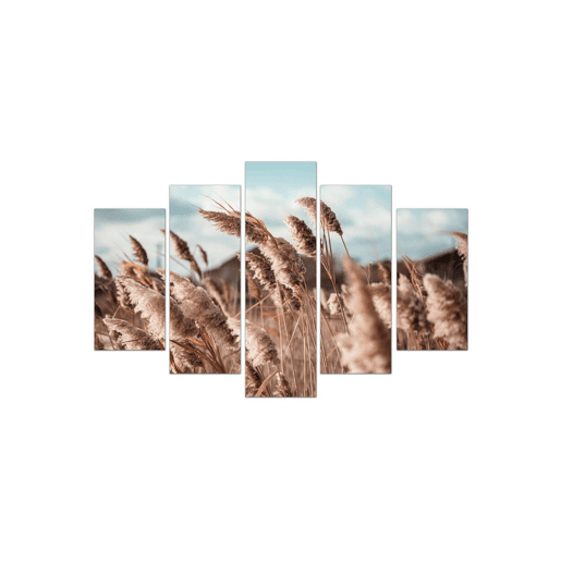 Tela 5 peças NATURE marca CONFORAMA