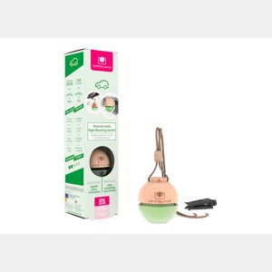 Ambientador para carro DAMA DE NOCHE 6ml