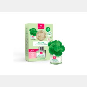 Ambientador mecha para a casa DAMA DE NOCHE 40ml