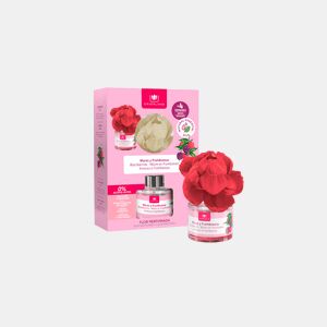 Ambientador mecha para a casa MORAS e FRAMBUES 40ml