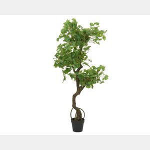 Planta artificial GINKO marca EVERLANDS FLOWERS AND PLANTS