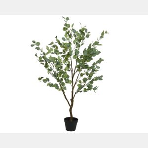 Planta artifical EUCALIPTO marca EVERLANDS FLOWERS AND PLANTS