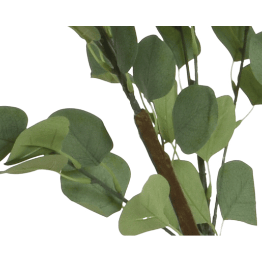 Planta artifical EUCALIPTO marca EVERLANDS FLOWERS AND PLANTS