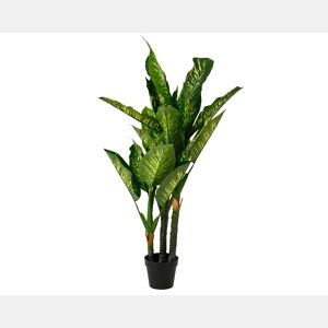 Planta artifical DIEFTENBAC marca EVERLANDS FLOWERS AND PLANTS
