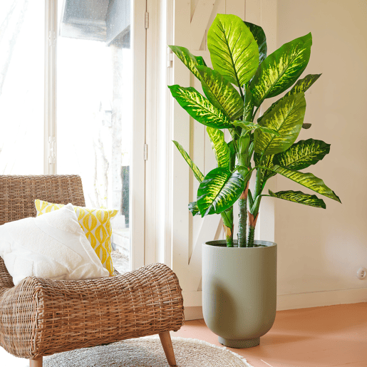 Planta artifical DIEFTENBAC marca EVERLANDS FLOWERS AND PLANTS