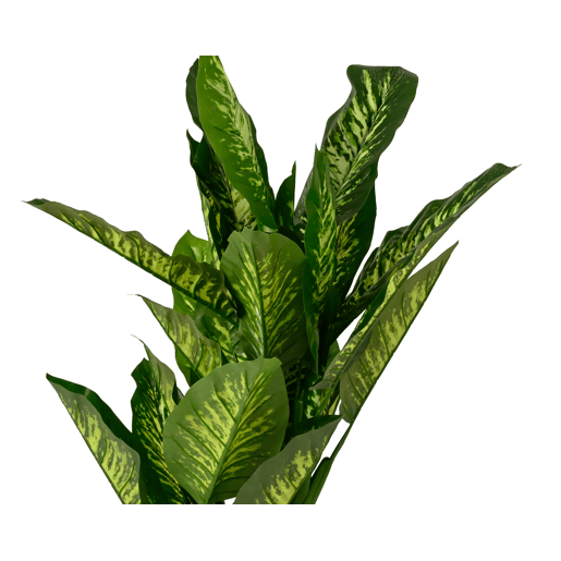 Planta artifical DIEFTENBAC marca EVERLANDS FLOWERS AND PLANTS