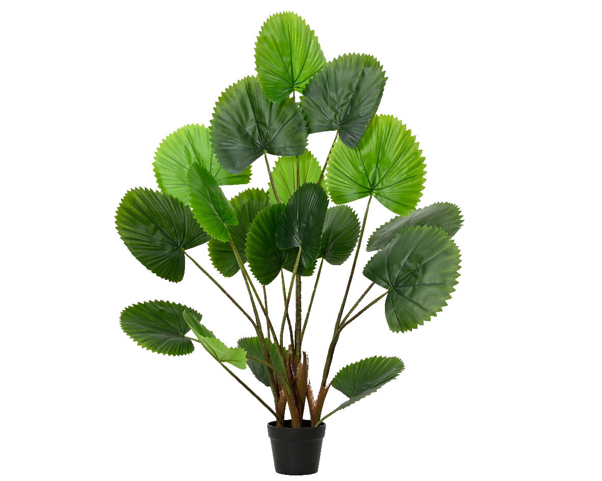 Planta artificial licuala marca everlands flowers and plants