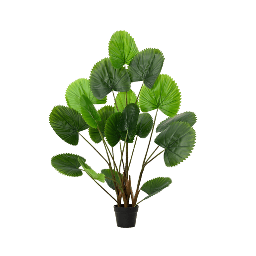 Planta artificial LICUALA marca EVERLANDS FLOWERS AND PLANTS Planta artificial LICUALA marca EVERLANDS FLOWERS AND PLANTS