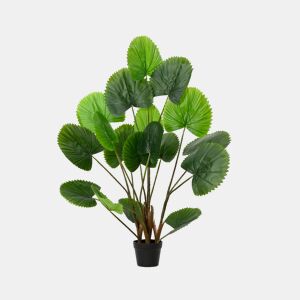 Planta artificial LICUALA marca EVERLANDS FLOWERS AND PLANTS