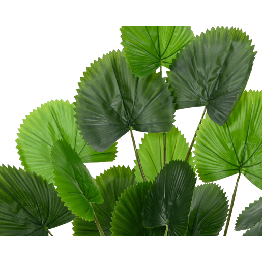 Planta artificial LICUALA marca EVERLANDS FLOWERS AND PLANTS Planta artificial LICUALA marca EVERLANDS FLOWERS AND PLANTS