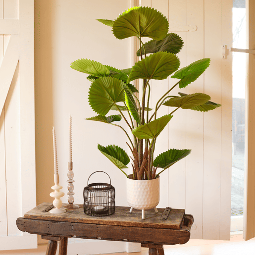Planta artificial LICUALA marca EVERLANDS FLOWERS AND PLANTS Planta artificial LICUALA marca EVERLANDS FLOWERS AND PLANTS