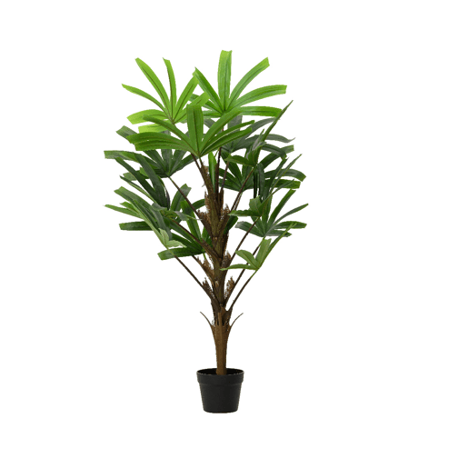 Planta artificial RHAPIS marca EVERLANDS FLOWERS AND PLANTS Planta artificial RHAPIS marca EVERLANDS FLOWERS AND PLANTS