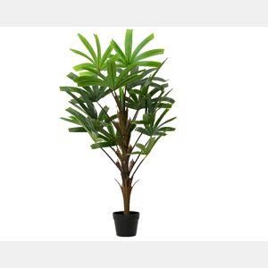 Planta artificial RHAPIS marca EVERLANDS FLOWERS AND PLANTS