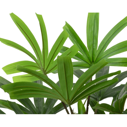 Planta artificial RHAPIS marca EVERLANDS FLOWERS AND PLANTS Planta artificial RHAPIS marca EVERLANDS FLOWERS AND PLANTS