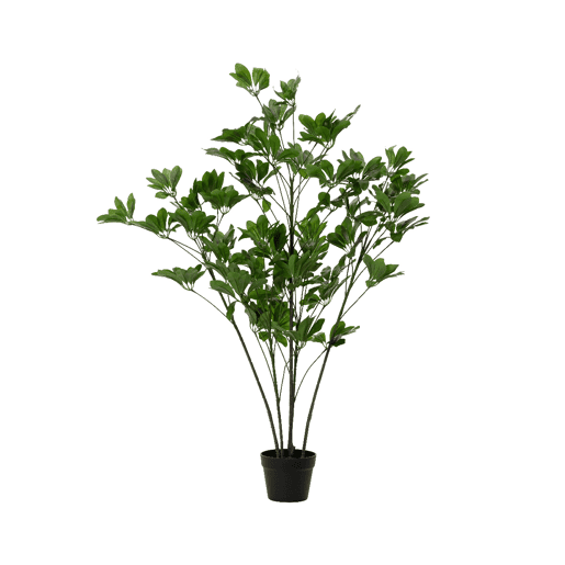 Planta artificial SCHEFFLERA marca EVERLANDS FLOWERS AND PLANTS Planta artificial SCHEFFLERA marca EVERLANDS FLOWERS AND PLANTS