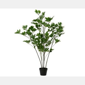 Planta artificial SCHEFFLERA marca EVERLANDS FLOWERS AND PLANTS