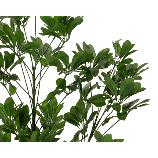 Planta artificial SCHEFFLERA marca EVERLANDS FLOWERS AND PLANTS Planta artificial SCHEFFLERA marca EVERLANDS FLOWERS AND PLANTS