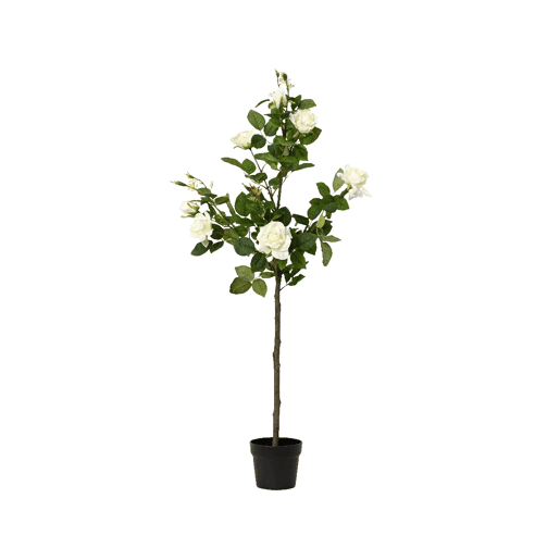 Planta articial ROSA marca EVERLANDS FLOWERS AND PLANTS