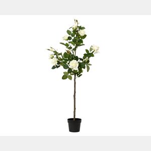 Planta articial ROSA marca EVERLANDS FLOWERS AND PLANTS