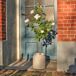 Planta articial ROSA marca EVERLANDS FLOWERS AND PLANTS Planta articial ROSA marca EVERLANDS FLOWERS AND PLANTS Verde