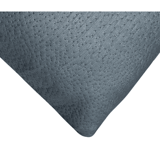 Pack de 2 almofadas VISCO ACTI CARBON 60cm