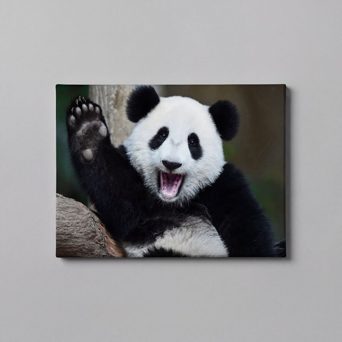 Canvas PANDA 60x80cm marca Conforama 