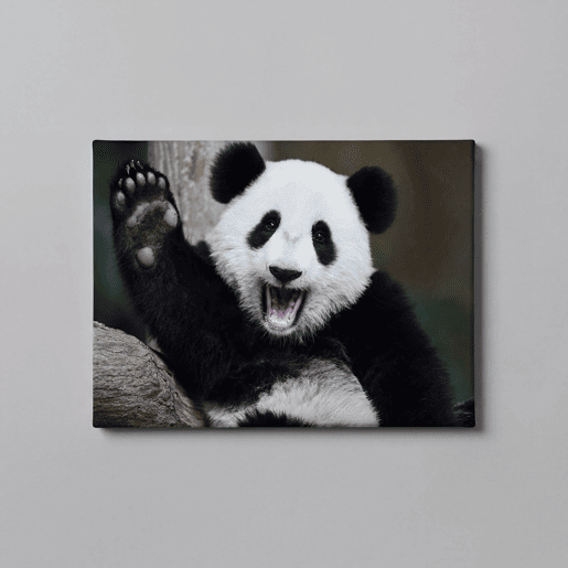 Tela PANDA 60x80cm marca Conforama