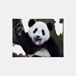 Tela PANDA 60x80cm marca Conforama
