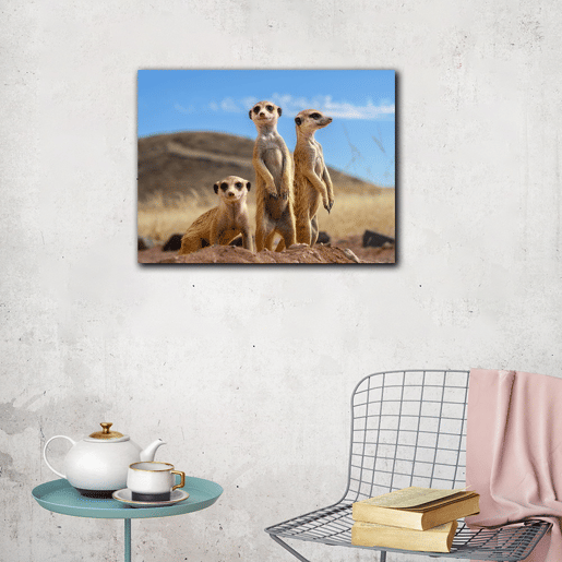 Tela ZURICATA 60X80cm marca Conforama