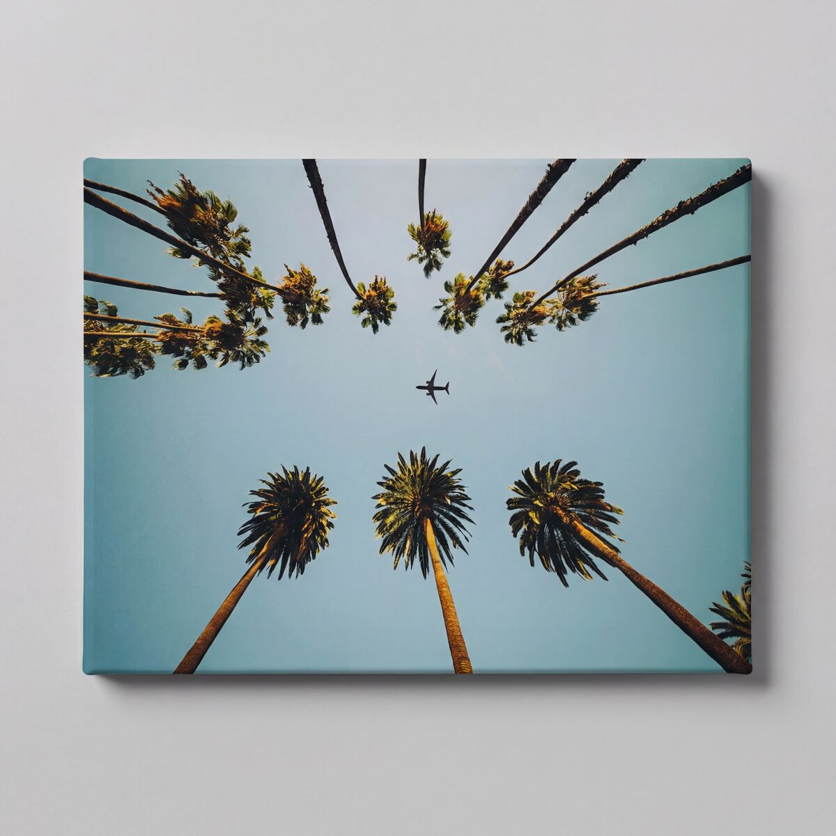 Canvas PALMS 60x80cm marca Conforama